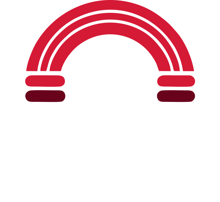 INSPECTPRO